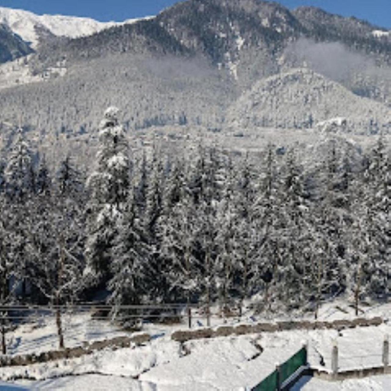 Hotel White Mountain Manāli Exteriér fotografie